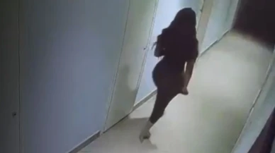 Tunuslu İş Kadını Jawhara Aboucheikh'in Ölümüyle İlgili Şok Detaylar Ortaya Çıktı