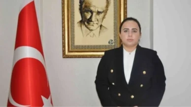 Göç İdaresi Başkanlığı Daire Başkanı Nazlı Demir'in hayatı hakkında detaylı bilgiler