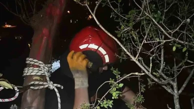 Trabzon'da sarp bir yamaçta mahsur kalan kişi, kahraman ekipler tarafından kurtarıldı!