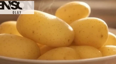 Patates tüketimi hakkında bilim dünyasından önemli uyarılar!