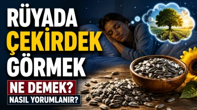 Rüyada Çekirdek Görmek Ne Demek? Çekirdek Yemek, Toplamak ve Hurma Çekirdeği Görmek Nasıl Yorumlanır?