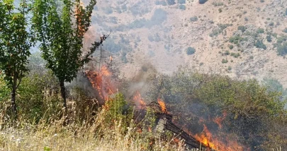 Malatya'da Çıkan Yangın, Üzüm Bağları ve Meyve Bahçelerine Zarar Verdi
