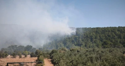 Muğla'da orman yangını: Alevler Menteşe'den Ula'ya ulaştı! Kara yolu trafiğe kapatıldı