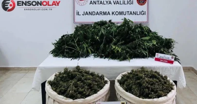 Antalya Serik'te uyuşturucu operasyonu : 11 kilo esrar ele geçirildi