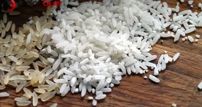 Çankırı’nın asırlık lezzeti tescillendi ! Ilgaz pirinci resmen koruma altında