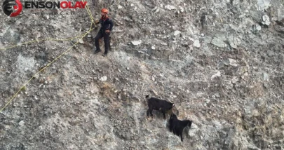 Dağ yamacında mahsur kalan keçiler, 2 saatlik operasyonla kurtarıldılar
