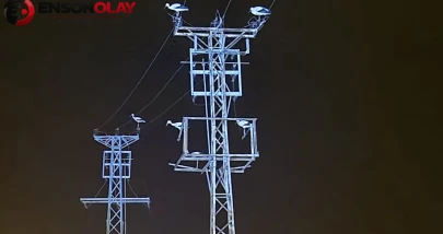 Afyonkarahisar'da göç eden leylekler tellere kondu : Beldelerde elektrik kesintisi yaşandı