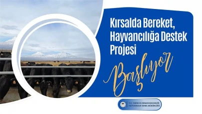 "Kırsalda Hayvancılığı Destekleyen Bereket Projesi: Etçi Irk Damızlık Büyükbaş Hayvanlar Yetiştiricilere Verilecek"