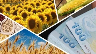 Çiftçilere Müjde! 4,3 Milyar TL Destek Ödemesi Hesaplarda