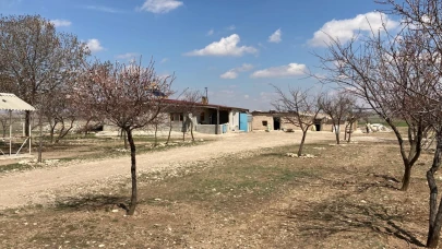 3 yaşındaki Sema Nur'un ölümüyle ilgili şüpheli hakkında iyi hal indirimi uygulandı!