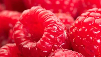 Ahududu (Frambuaz) Nedir? Ahududu Faydaları Nelerdir?