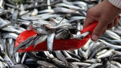 Balık avı yasağı ne zaman başlıyor? 2025 balık av yasağı tarihi