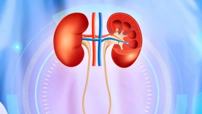Boşaltım Sistemi Nedir? Boşaltım Sistemi Görevleri Nelerdir?