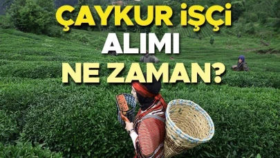 ÇAYKUR'un 2025 İşçi Alımı Sürecinde Son Durum! Başvurular Başladı mı, Kura Tarihi Belli Oldu mu? 1500 Mevsimlik İşçi Alımı Yapılacak mı? Gözler ÇAYKUR Genel Müdürlüğü Duyurusunda!