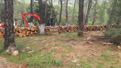 Gökova betonlaşmaya değil korunmaya muhtaç