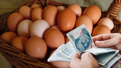 Her gün tükettiğimiz yumurtada yeni gelişme! "Mayıs çukuru" geliyor: Yumurta fiyatları düşecek