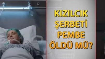 Kızılcık Şerbeti Pembe öldü mü, Sibel Taşçıoğlu diziden ayrıldı mı? Fragman yayınlandı, cevap belli oldu! Kızılcık Şerbeti Pembe Sibel Taşçıoğlu neden diziden ayrıldı?