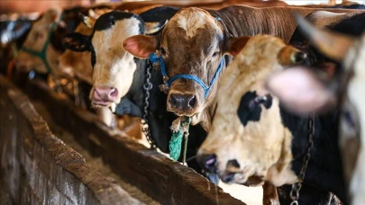 2025 Kurban Bayramı Tatili Süresi ve Geri Sayımı Türkiye'de 2025 yılındaki Kurban Bayramı tatili kaç gün olacak? 2025 Kurban Bayramı'na kaç gün kaldı?