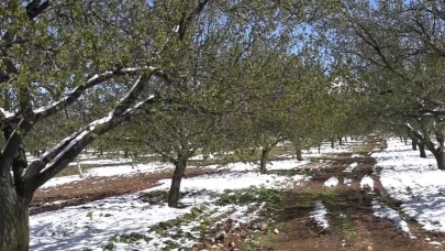 'Derhal afet bölgesi ilan edilsin'