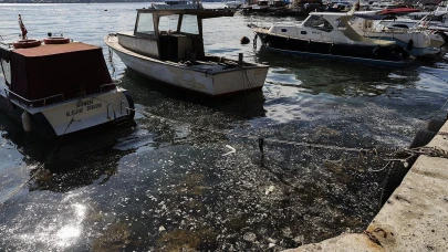 Marmara Denizi'nde Endişe Verici Gelişme: Kabus Yeniden Başladı