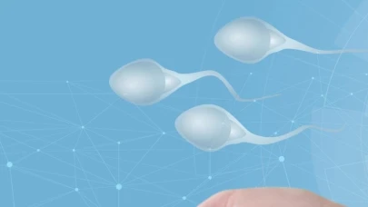 Meni Nedir? Meni ve Doğurganlık Arasındaki İlişki