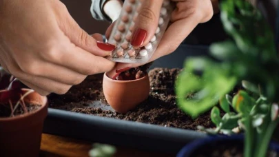 Ölmüş çiçekleri böyle diriltiyor... Doğum kontrol hapının bilinmeyen kullanımı!