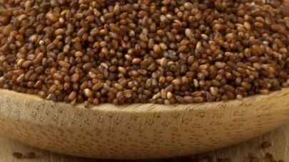 Teff Tohumu Nedir? Teff Tohumu Faydaları Nelerdir?