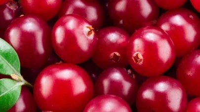 Turna Yemişi (Cranberry) Nedir? Turna Yemişi Faydaları Nelerdir?