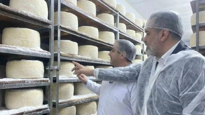 Ünlü İtalyan peynirleri Türklerin elinden çıkıyor! Şanlıurfa’da üretiliyor, ABD’ye gönderiliyor!Makarna ve pizzanın başkahramanı