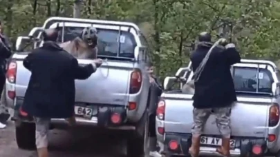 Köpeği dakikalarca acımasızca darbetti