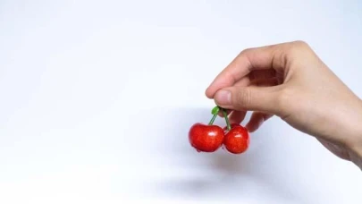 Vişne Sapının Sağlığa Olan Etkileri Araştırılıyor!