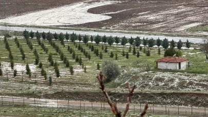 Fırtına sonrası dolu yağışı çiftçiler için yine büyük bir zarara yol açtı!