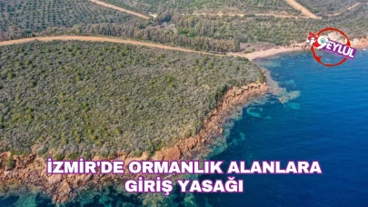İzmir'de Ormanlık Alanlara Giriş Yasaklandı: Doğal Hayata Destek İçin Önlem Alındı