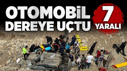Otomobil dereye uçtu: 7 yaralı