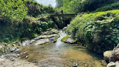Rize'de kırmızı akan dere paniğe neden oldu