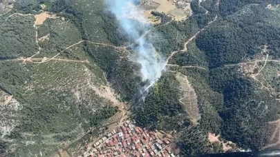 Manisa Soma'da orman yangını!