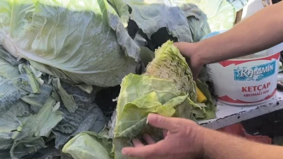 Vatandaşlar lahanayı çeyrek alıyor