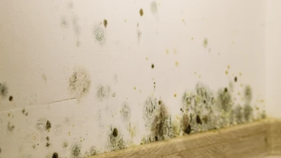 Ev sıcaklığınızı bu derecede sabit tutarak küf oluşumunu engelleyebilirsiniz.