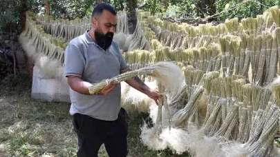 Dağların derinliklerinde yetişen, zorlu bir toplama sürecinden sonra şehirdeki raflarda yerini alan nadir bitki!
