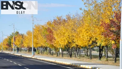 Kars’ta sonbaharın renkleri büyülüyor