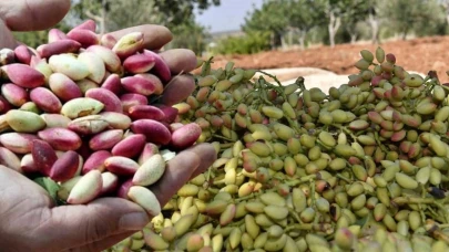 Astronomik fiyatlar esnafı da vatandaşı da zorda bıraktı! Şanlıurfa’da kriz büyüyor: 2 bin liraya kadar çıktı