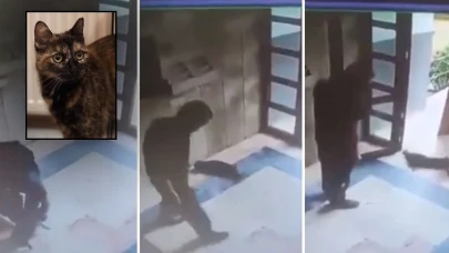 Cezve cinayetinin failine verilen ceza en üst sınırdan oldu