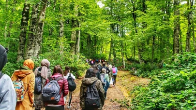 Doğanın Şaşırtıcı Gücü: Yalnızca 20 Dakika Yetiyor