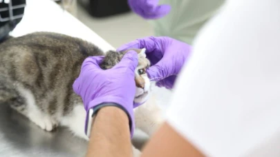 Hayvan barınağında gerçekleştirilen orman yangını tatbikatı