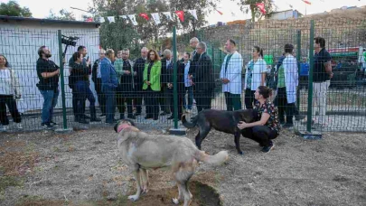 Karşıyaka Belediyesi, sokak hayvanları için modern bir tesis inşa ediyor