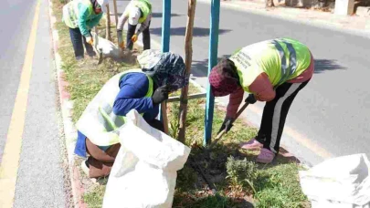 Soma'da Kadınların Emekleriyle Yeniden Yeşeren Yollar