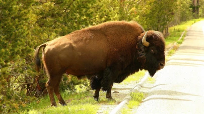 ABD turistleri kazıklamak için yeni bir yol buldu: Ekstra 100 dolar daha alınacak