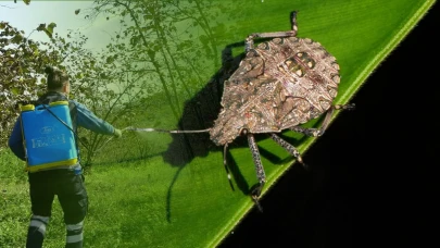 Karadeniz’den Ege’ye 300’den fazla ürüne zarar veriyor
