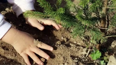 TEMA Vakfı'na Bağış Yapmak Artık Daha Kolay! Üyeler Kimler, Detaylar Haberimizde!