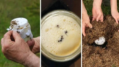 Anadolu'nun köklü lezzeti: Michelin yıldızlı restoranda 'Karıncalı Yoğurt' menüde ön plana çıkıyor!